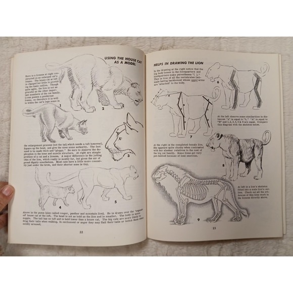 How To Draw Animals by Jack Hamm Paperback 1969 - Picture 4 of 7
